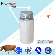 99% Purity Ceftiofur Antibacterials Use 80370-57-6